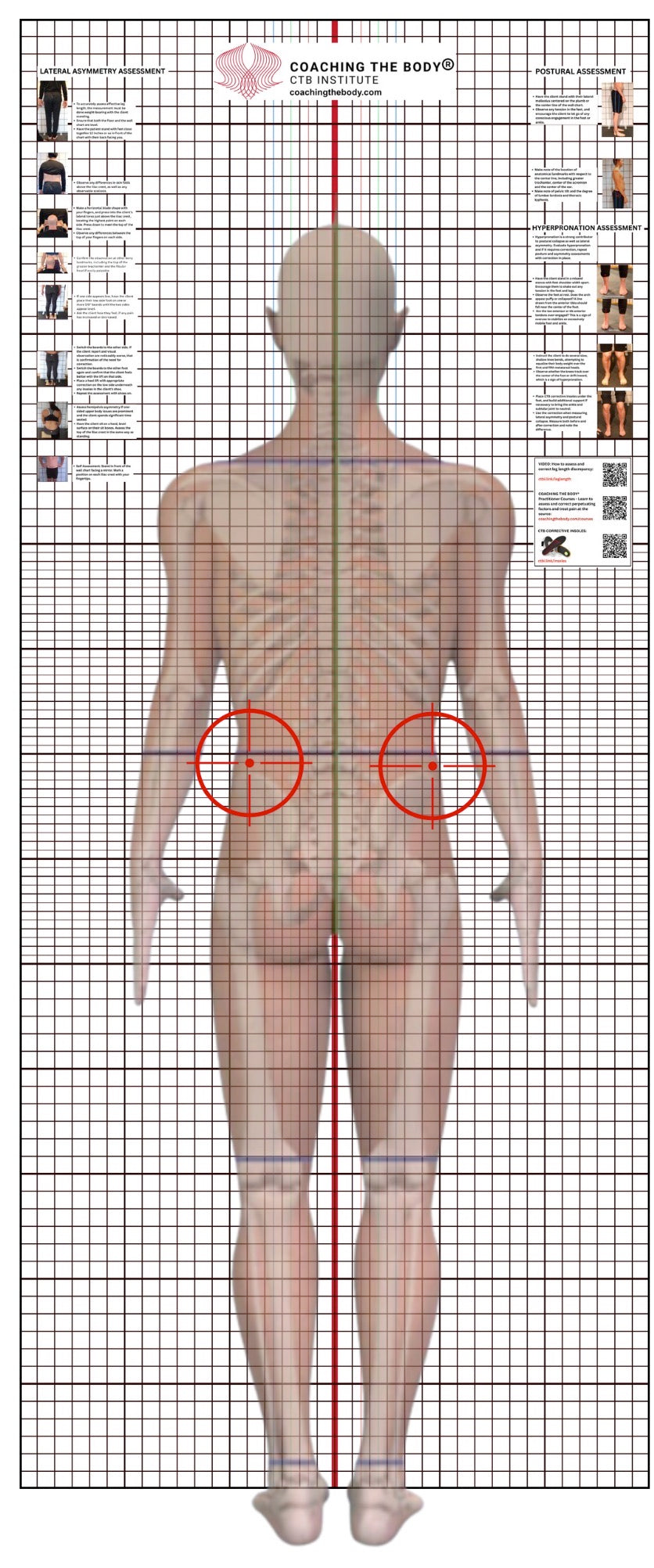 PainHacker's Guide: Finding the Origins & Perpetuators of Pain (6 CEs)