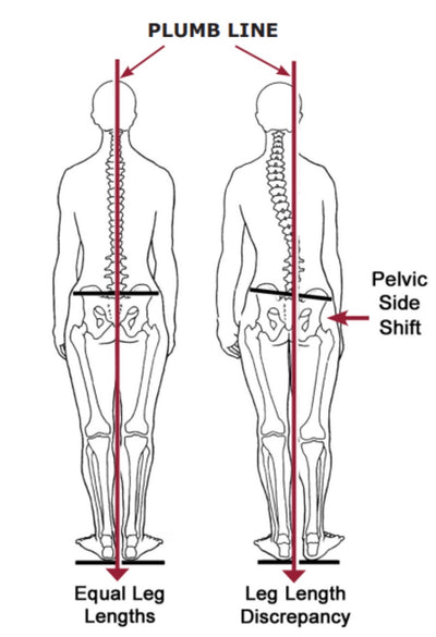 PainHacker's Guide: Finding the Origins & Perpetuators of Pain (6 CEs)
