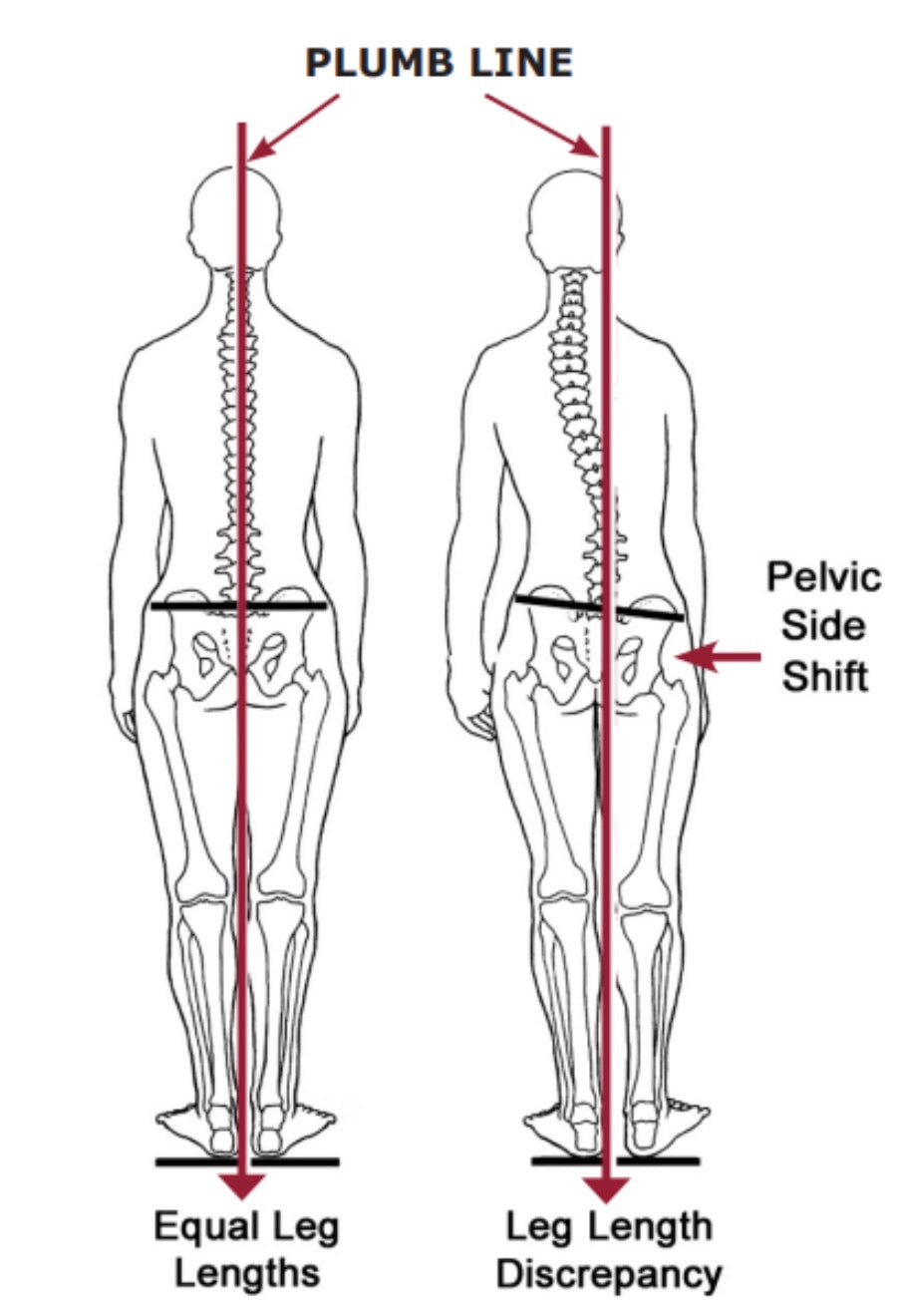 PainHacker's Guide: Finding the Origins & Perpetuators of Pain (6 CEs)