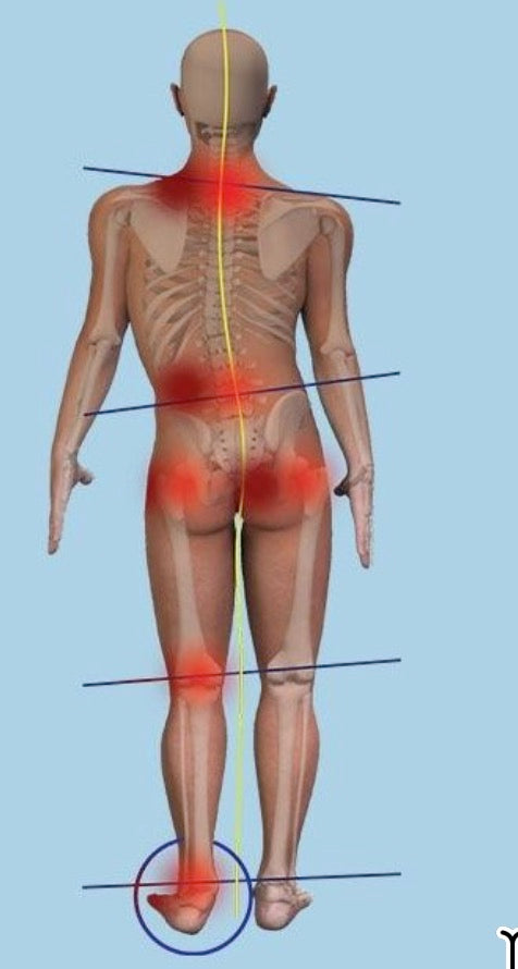 PainHacker's Guide: Finding the Origins & Perpetuators of Pain (6 CEs)